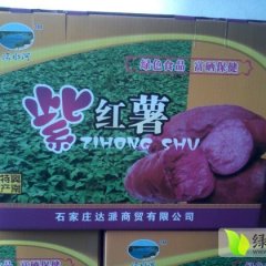 威县紫薯红薯大量上市 外形光滑 口感好