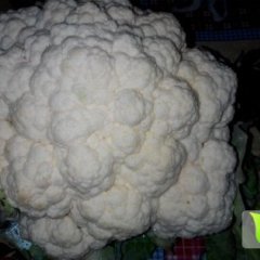 泾阳秋季菜花大量上市 品质良好 质量第一