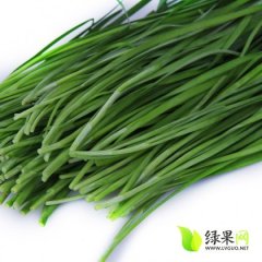 河北保定大量供应优质韭菜 望来收购