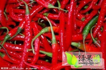 山西定襄辣椒品质优良 欢迎前来考察购买