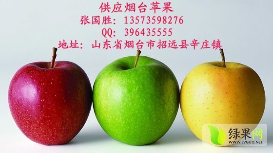 2014年山东招远嘎啦价格