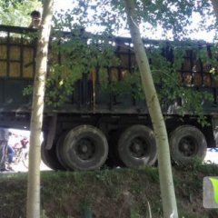 速度抢购。土豆嗷嗷涨价