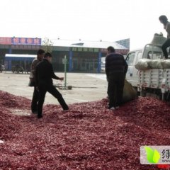 金乡辣椒供应 椒型好 皮薄辣度高 色泽艳 香味浓