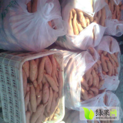河北藁城红薯量大 品质好 价格便宜