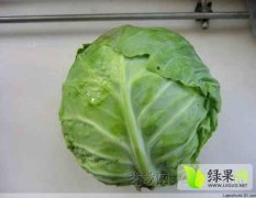 昌黎甘蓝营养价值丰富 价格好谈 鲜食爽口