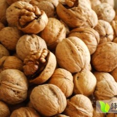 本人现有优质干核桃 质量上乘 营养丰富