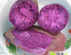 山东泗水紫薯大量上市 保质保量