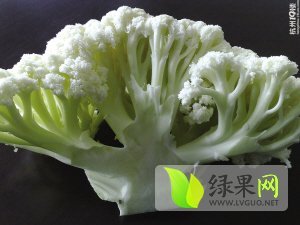 东昌府菜花名扬天下,沙镇刘鹏诚信合作