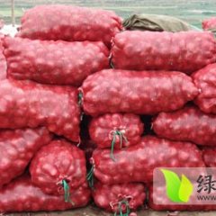 清苑常年大量供应冷库红葱头 物美价廉