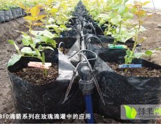 供应盆栽滴箭具有灌溉精准 出水均匀等优点