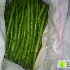 费县辣椒椒型好 品种齐全 供应量大