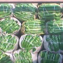 青州辣椒收购工作全面开展