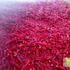 韩国金塔辣椒已大量上市 货源充足 价格详谈