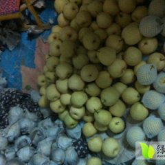2014蒲城梨俏销大江南北