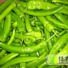 青州辣椒外形饱满 个大均匀 色泽佳
