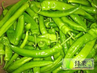 2014年山东青州尖椒价格