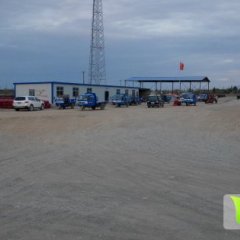 肃州洋葱口感爽口,酒泉王东华诚信合作