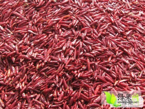 2013年河南通许三樱椒价格