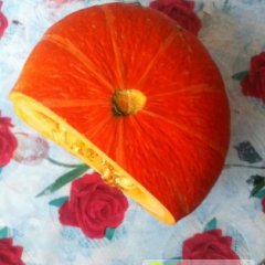 2014神池南瓜种植面积3万亩以上