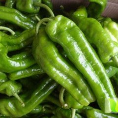 2014费县辣椒俏销大江南北