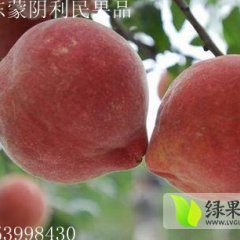 山东蒙阴中华寿桃皮薄汁多，肉质嫩滑