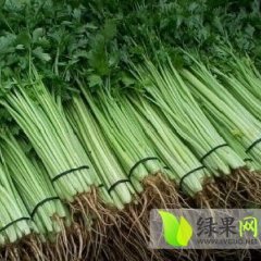 2014小香芹俏销大江南北