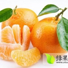 湖北丹柑橘绿色无污染 无公害