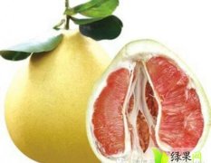 四川东坡琯溪蜜柚、红心蜜柚：盘鳌乡杜学明