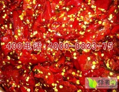 金乡出售金塔系列辣椒酱 色泽鲜红 口感鲜美