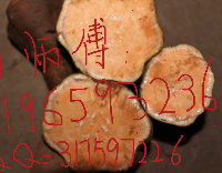 四川红薯价格