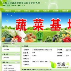 甘肃永昌黄皮洋葱：朱王堡张志宝