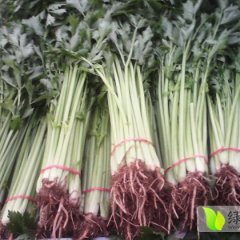 山东聊城香芹 （山芹）全年大量供应 欢迎您的到