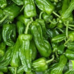 费县秋季优质辣椒已上市 种类繁多 量大从优