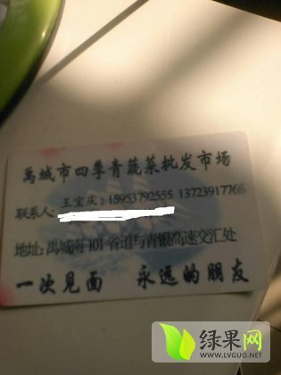 2014年山东禹城美国西芹价格