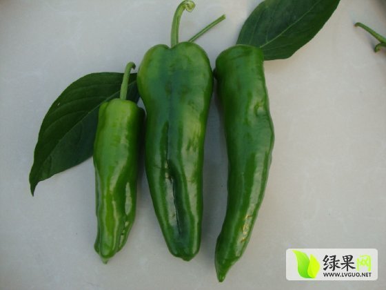 2014年河南夏邑301辣椒价格
