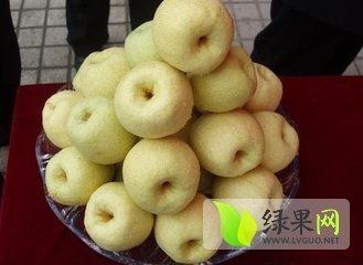 2014年陕西大荔酥梨价格