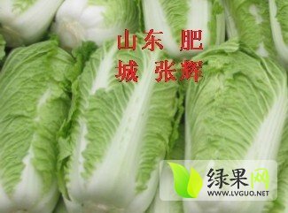 2014年山东肥城北京新三号价格
