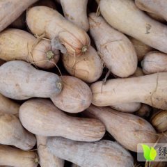 现在货源偏少有需要的请联系。