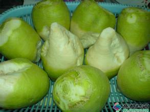 山西忻府芥莱千亩长的好芥菜长势旺盛