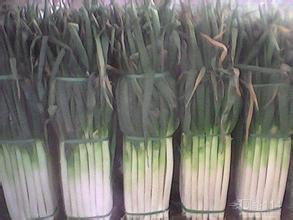 2014平度其他蔬菜走过路过不要错过