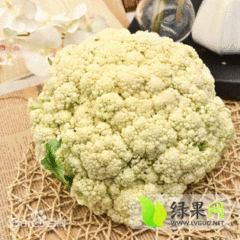 2014杭州菜花值得出手