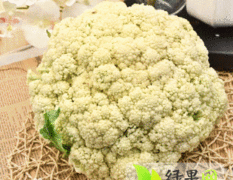 2014杭州菜花值得出手