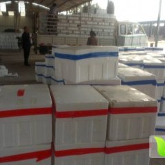 2014青州其他蔬菜今年价格有看点