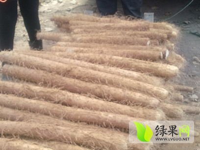 2014年山东莘县我处有大量山药价格