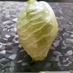 东台弶港农场牛心甘蓝大量上市，欢迎洽谈