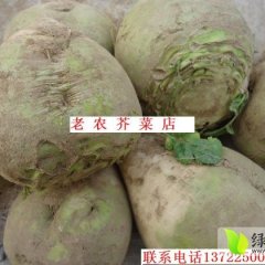 丰润芥菜何去何从,岔河温顺才诚信合作