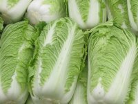 2014年山东平度87-114白菜价格