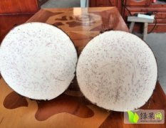 广西临桂槟榔芋芋头著名品牌