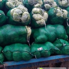 湖北嘉鱼1014甘蓝：潘家湾刘国林