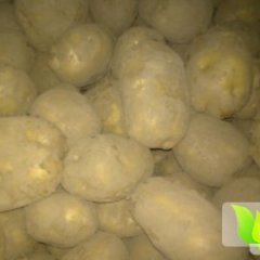 陕西米脂克新一号土豆随行就市